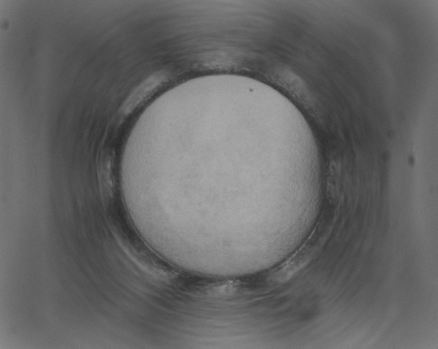 X0000067830116200604271604