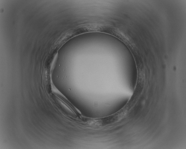 X0000067830117200604271604