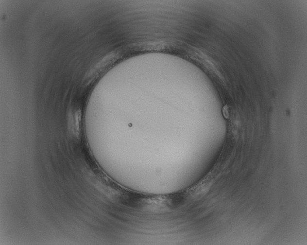 X0000067830118200604271604