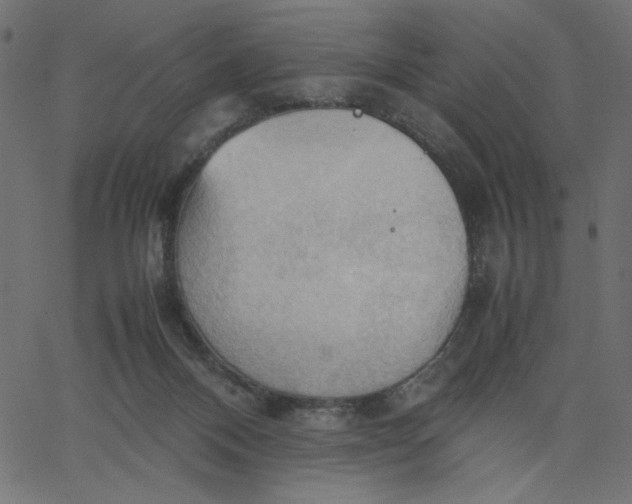 X0000067830120200604271604