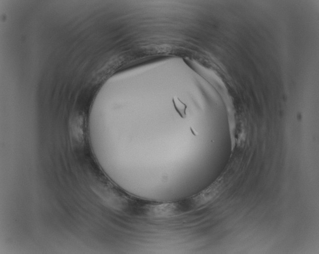 X0000067830122200604271604