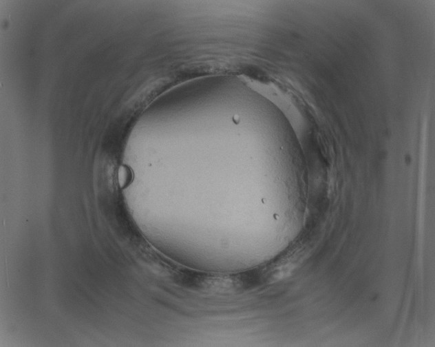 X0000067830123200604271604