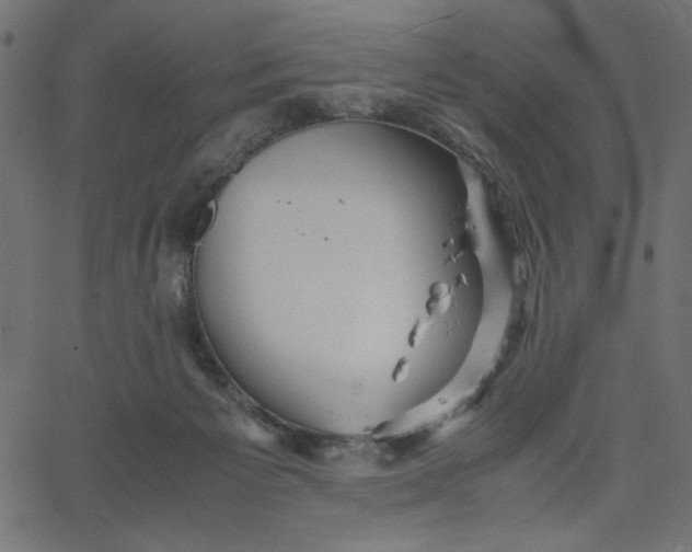 X0000067830125200604271604