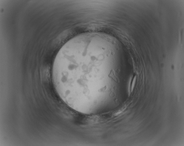 X0000067830127200604271604