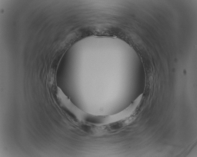 X0000067830129200604271604