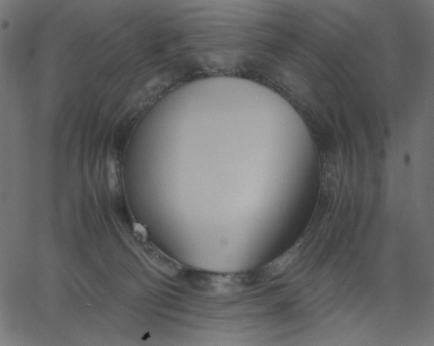 X0000067830130200604271604