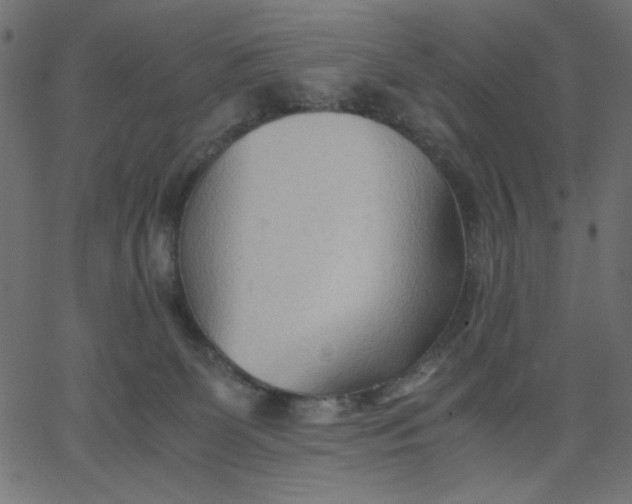 X0000067830131200604271604