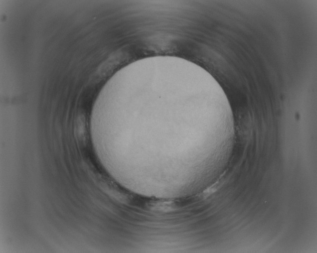 X0000067830132200604271604