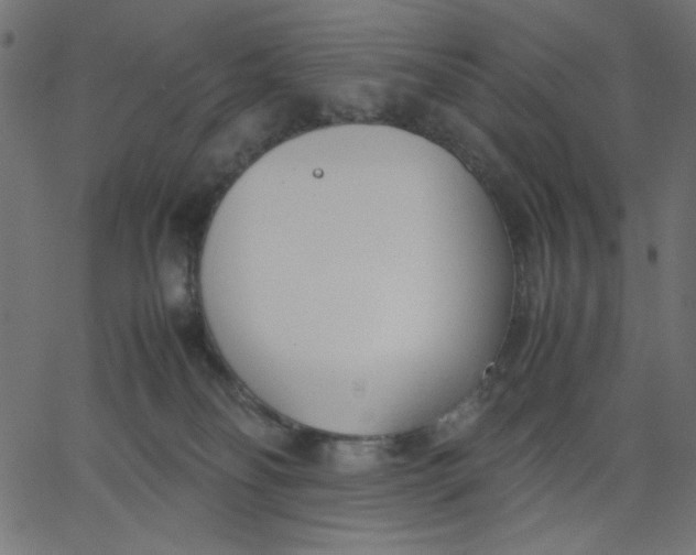 X0000067830134200604271604