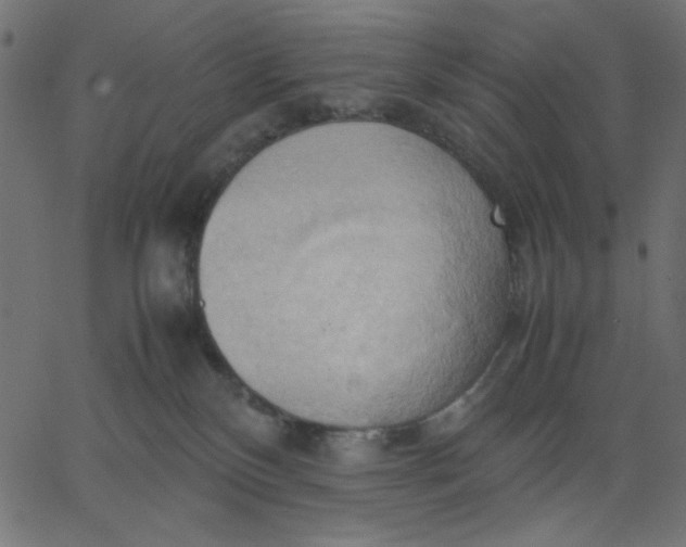 X0000067830136200604271604