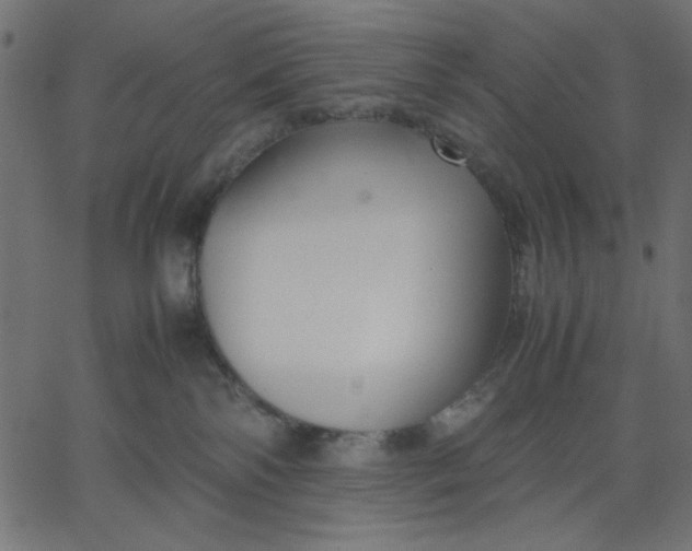 X0000067830138200604271604