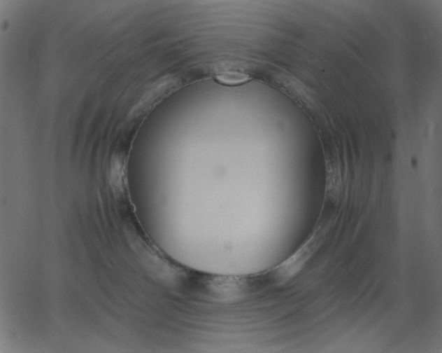 X0000067830142200604271604