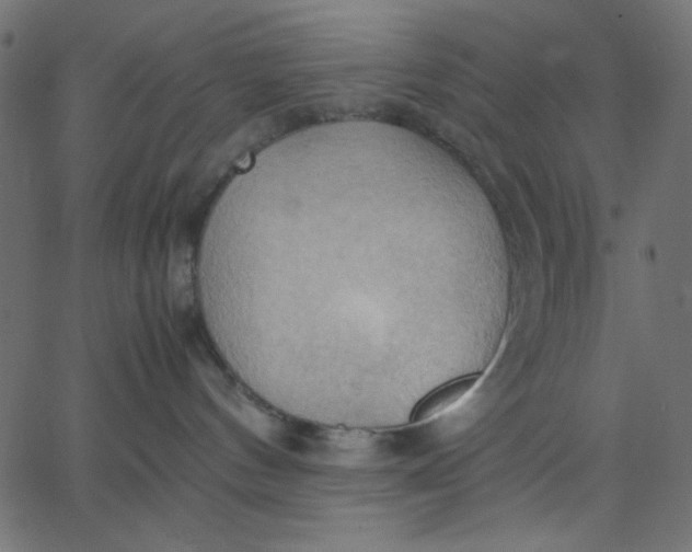 X0000067830144200604271604