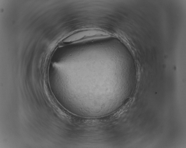 X0000067830145200604271603