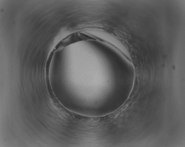 X0000067830148200604271603