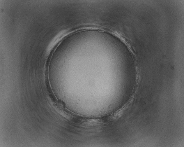 X0000067830151200604271603