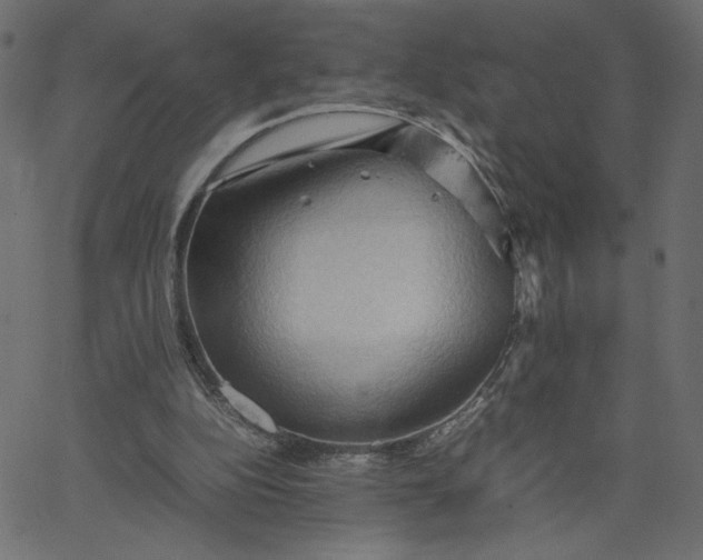 X0000067830152200604271603