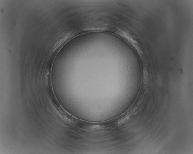 X0000067830153200604271603