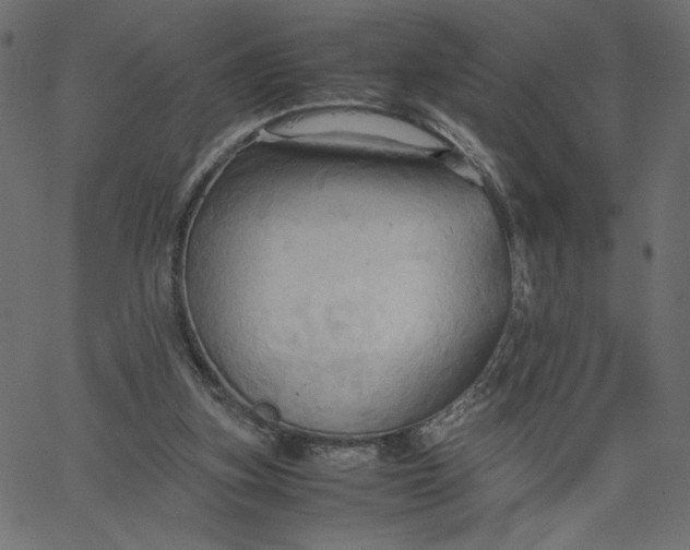 X0000067830155200604271603