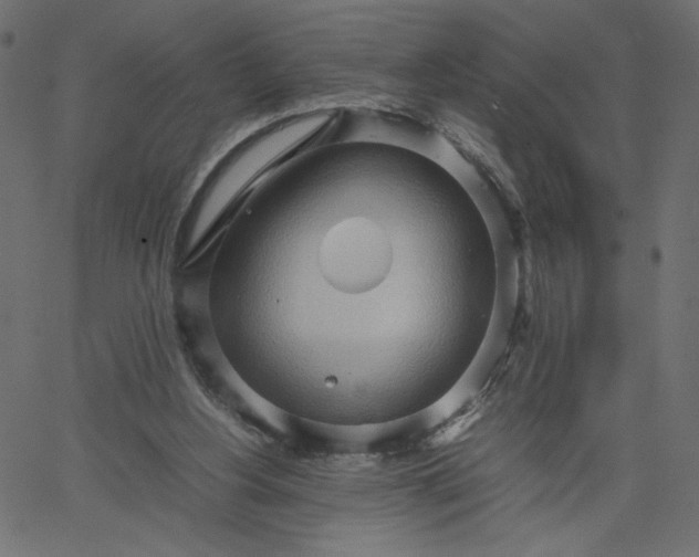 X0000067830156200604271603