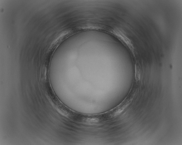 X0000067830157200604271603