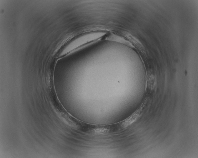 X0000067830158200604271603