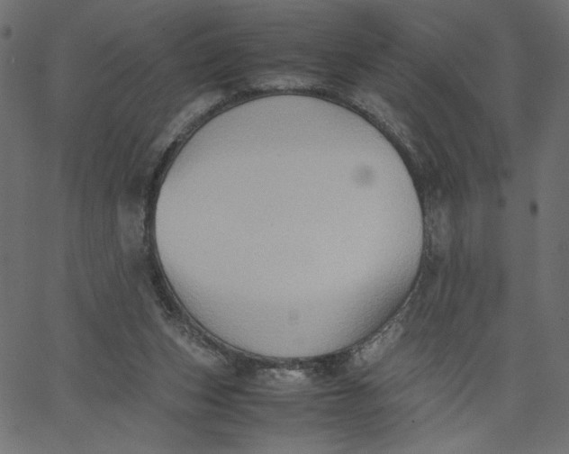 X0000067830159200604271603