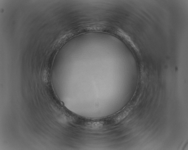 X0000067830161200604271603