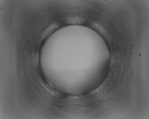 X0000067830163200604271603