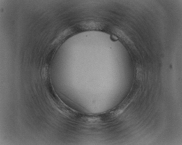 X0000067830165200604271603