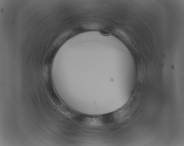 X0000067830167200604271603