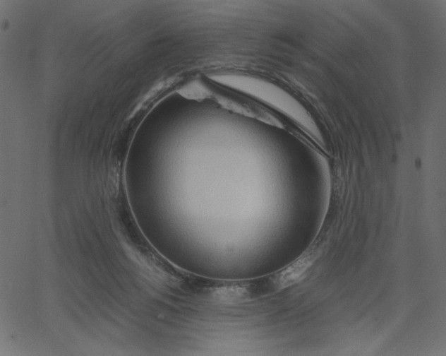 X0000067830168200604271603