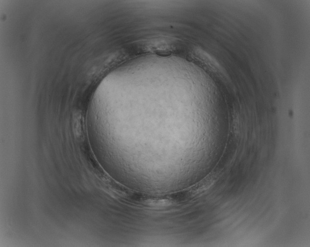 X0000067830169200604271603