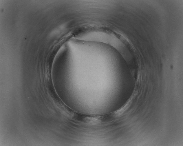 X0000067830170200604271603