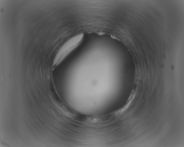 X0000067830174200604271603