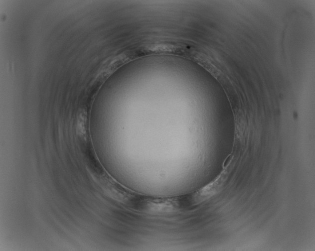 X0000067830175200604271603