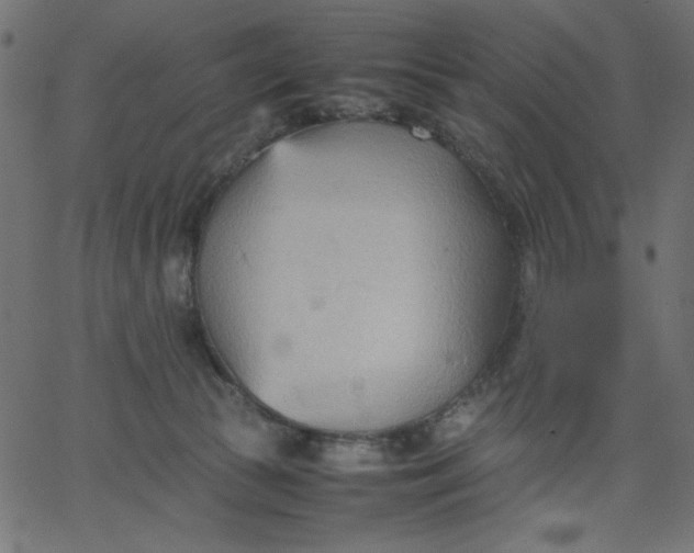 X0000067830177200604271603