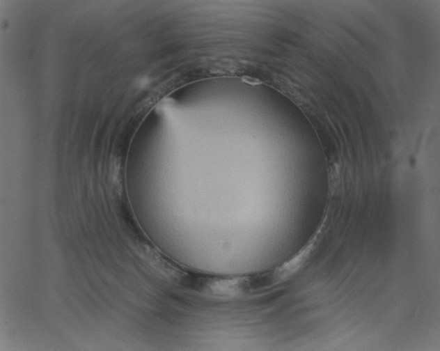 X0000067830178200604271603