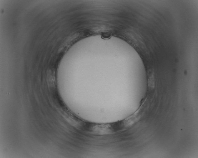 X0000067830179200604271603