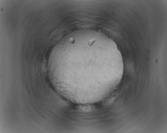 X0000067830181200604271604