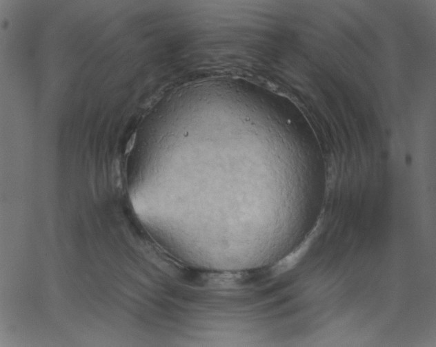 X0000067830182200604271604