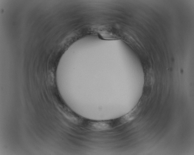 X0000067830183200604271604