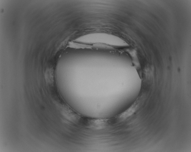 X0000067830184200604271604