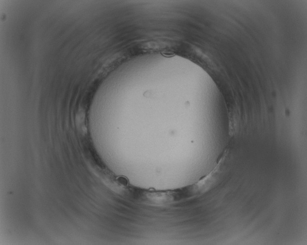 X0000067830187200604271604