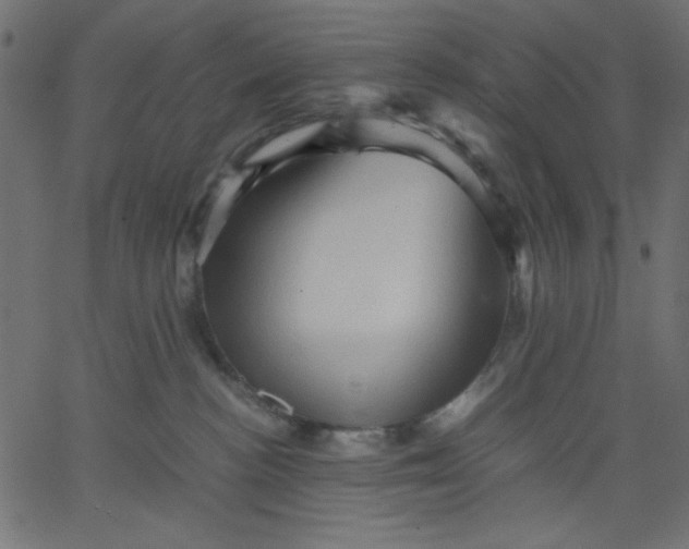 X0000067830188200604271604