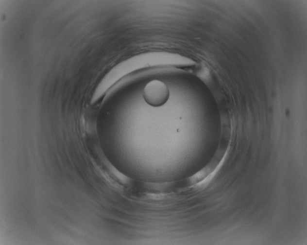 X0000067830190200604271604