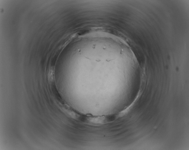 X0000067830191200604271604