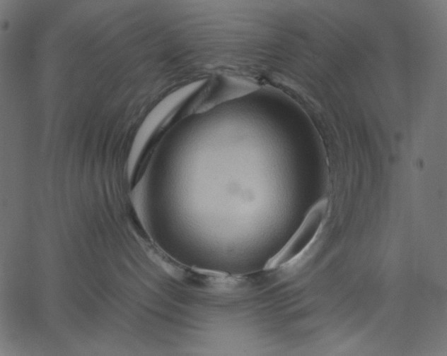 X0000067830192200604271604