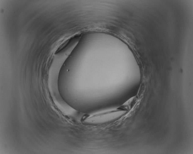 X0000067830193200604271603