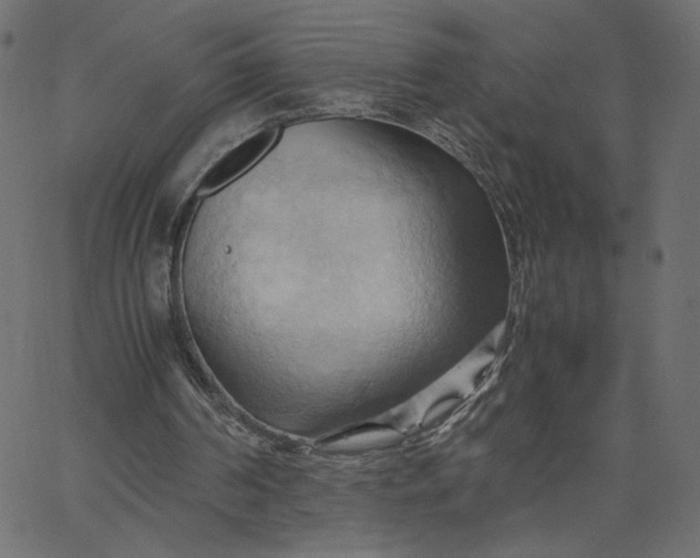 X0000067830194200604271603